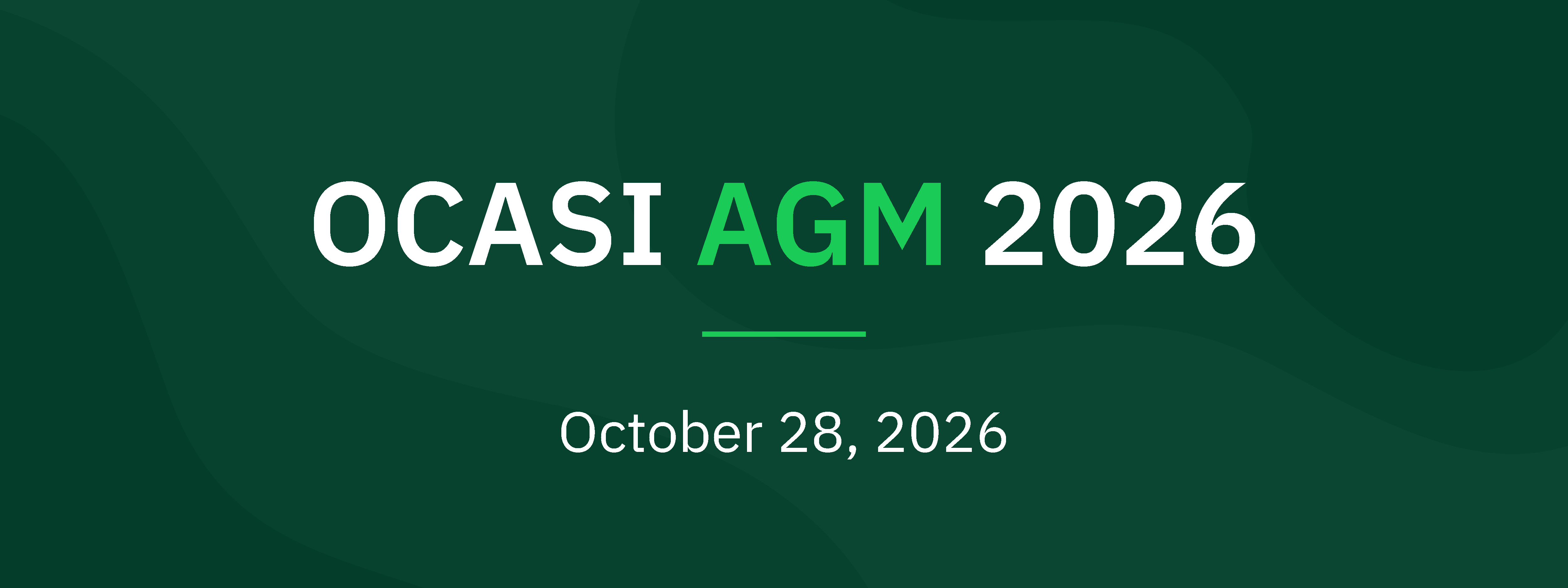 OCASI AGM 2024 visual